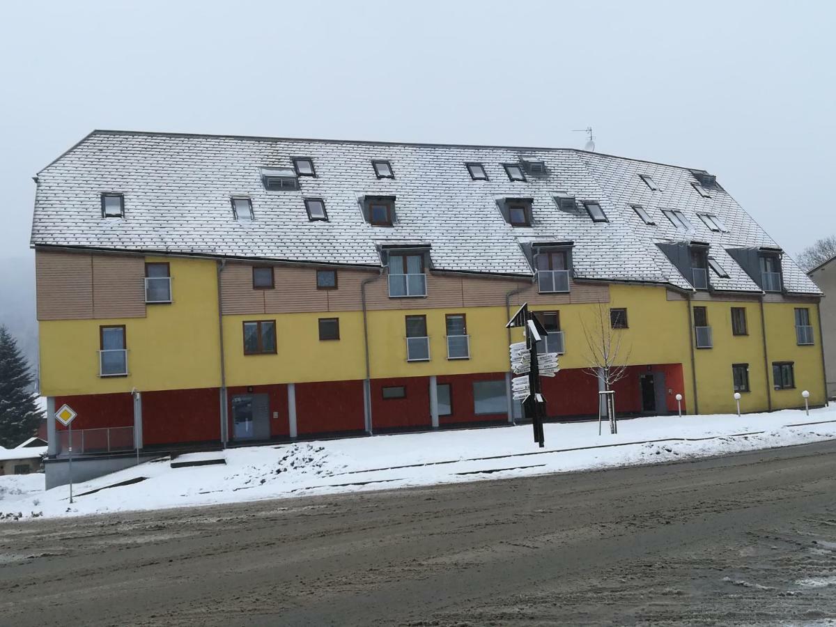 Apartman Destna Cp.1 Destne v Orlickych horach Εξωτερικό φωτογραφία